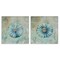 Stupell Industries Vintage Blue Sea Urchins 2pc Canvas Wall Art Set Design by Andrea Haase
